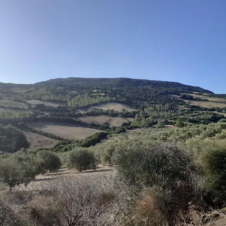 Maison Campidanese Santa-giusta Or,5 K M De La Plage Hébergement de vacances